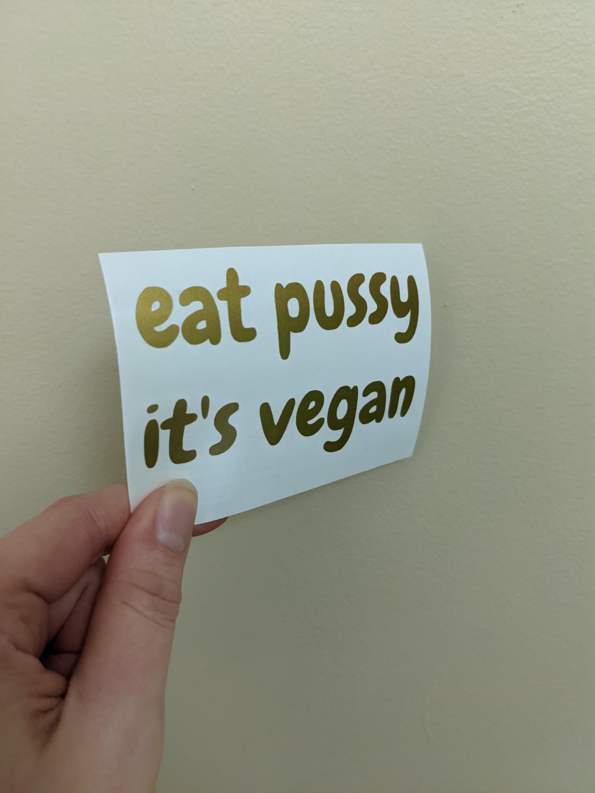 Lesbian Humor Decal