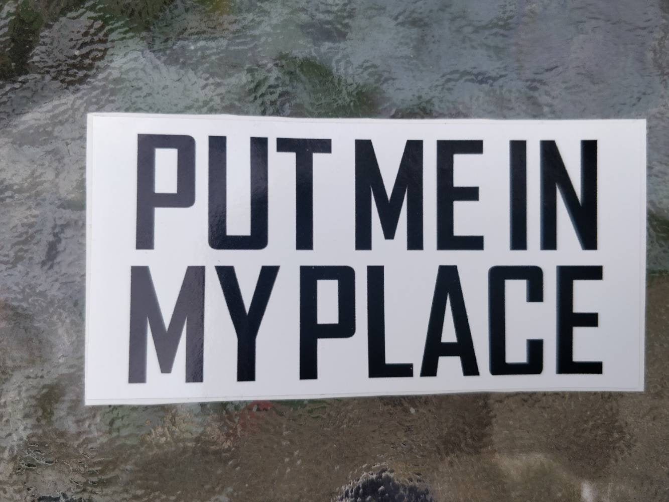 Put Me In My Place Kink Stickers